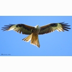 2 20210614 RM 1 DSC05989.jpg